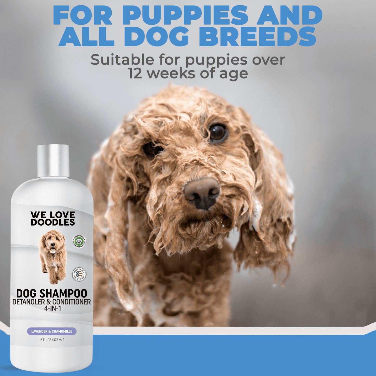We Love Doodles Dog Shampoo, Conditioner and Detangler, Best Shampoo for Goldendoodles and Doodles, Dog Shampoo for Puppies, Grooming, Clean Ingredients, Lavender, Moisturizing, Best Smelling