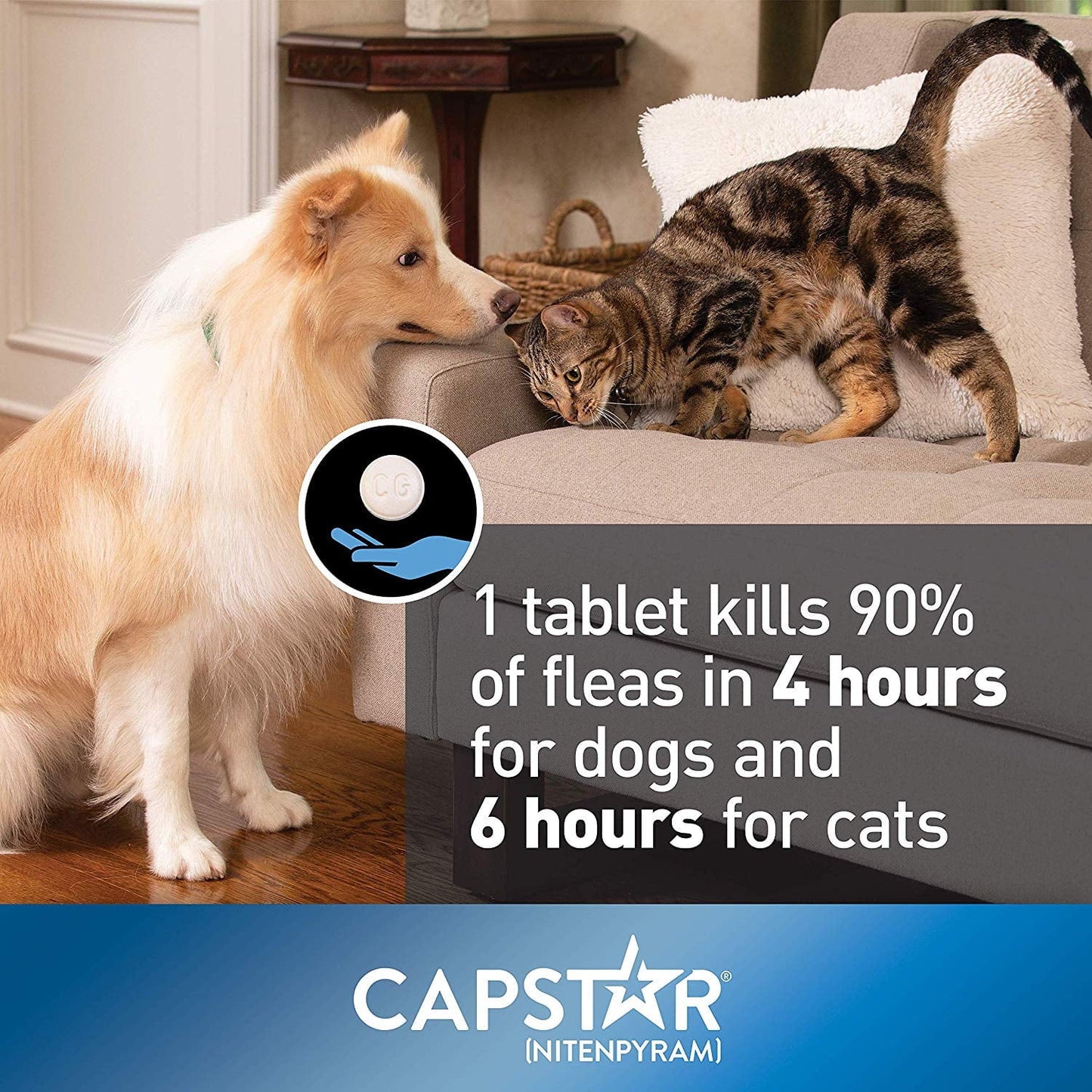Capstar Fast-Acting Oral Flea Treatment for 2-25lb Dogs – 6 Doses