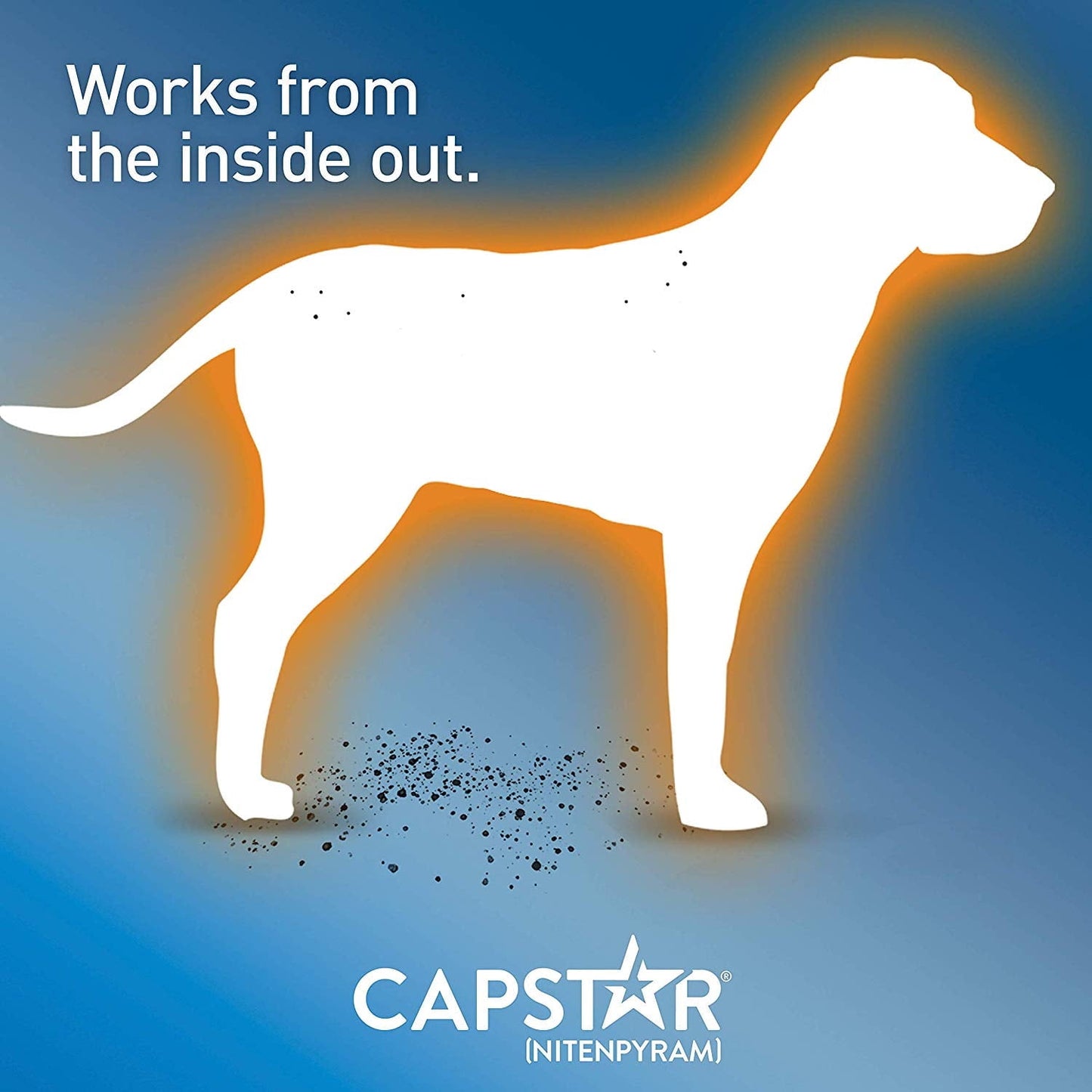 Capstar Fast-Acting Oral Flea Treatment for 2-25lb Dogs – 6 Doses