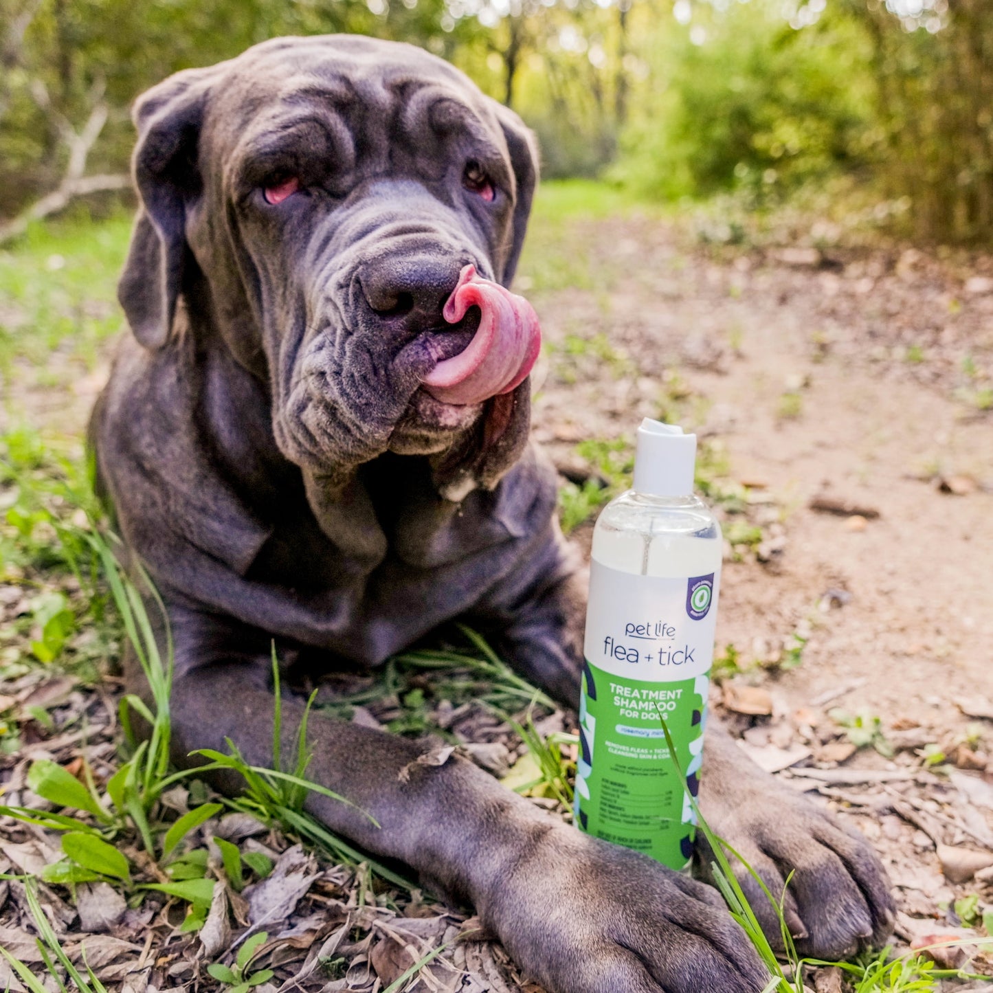Pet Life Unlimited Flea & Tick Treatment Gel Shampoo for Dogs, 16oz
