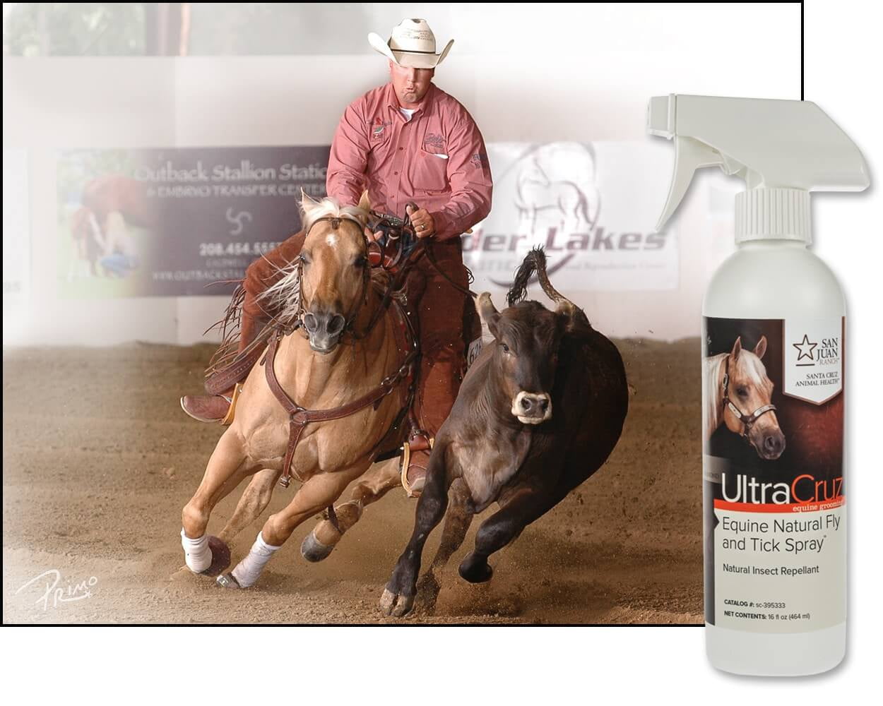 UltraCruz Equine Natural Fly and Tick Spray for Horses, 16 oz