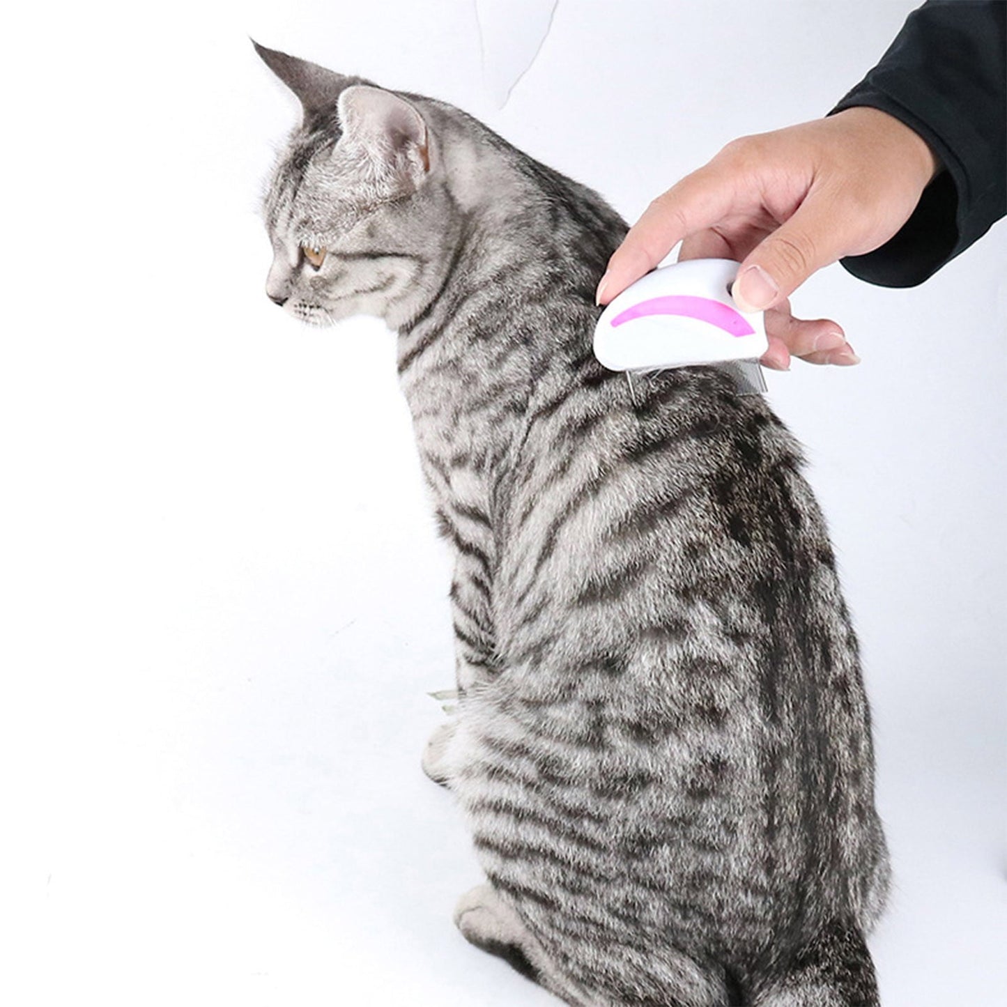 Flea Lice Comb, Stainless Steel Dog Cat Grooming Combs with Rounded Teeth, Professional Pet Tear Stain Remover, Dematting Tool for Small, Medium & Large Pets