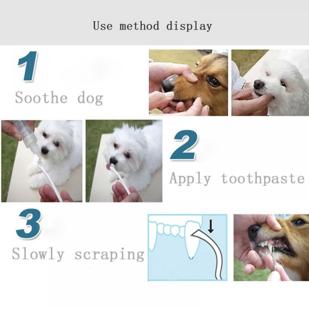 Stainless Steel Double Ended Dental Calculus Removal Tool Tooth Scaler For Dogs And Cats