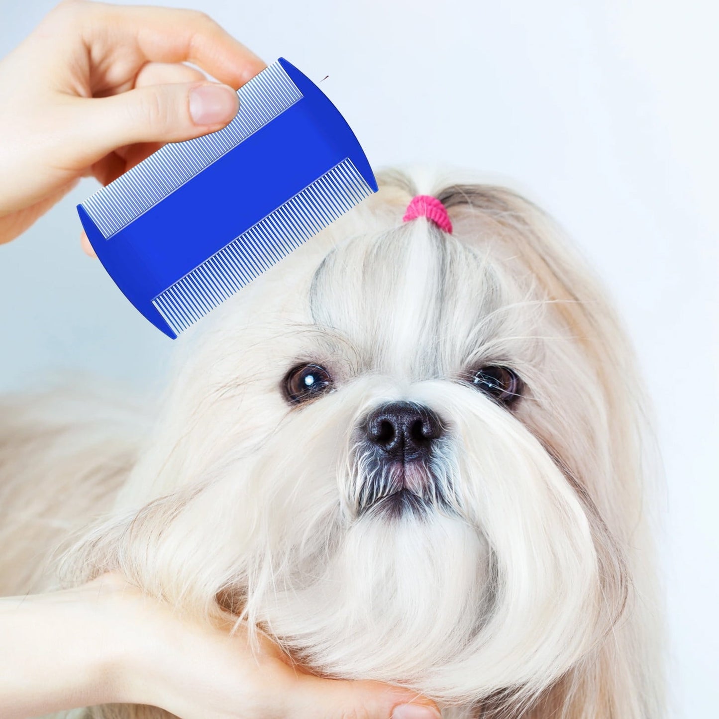 Sokhug Four - Piece Pet Comb Set for Dogs Cats Flea Comb Tear Stain Comb Dandruff Hair Stains Removal Dense Tooth Needle Comb for Grooming