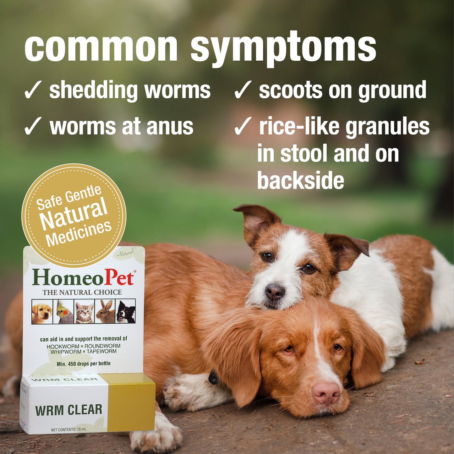 HomeoPet WRM Clear Broad-Spectrum Multispecies Parasite Treatment Solution, 15-Milliliter Bottle