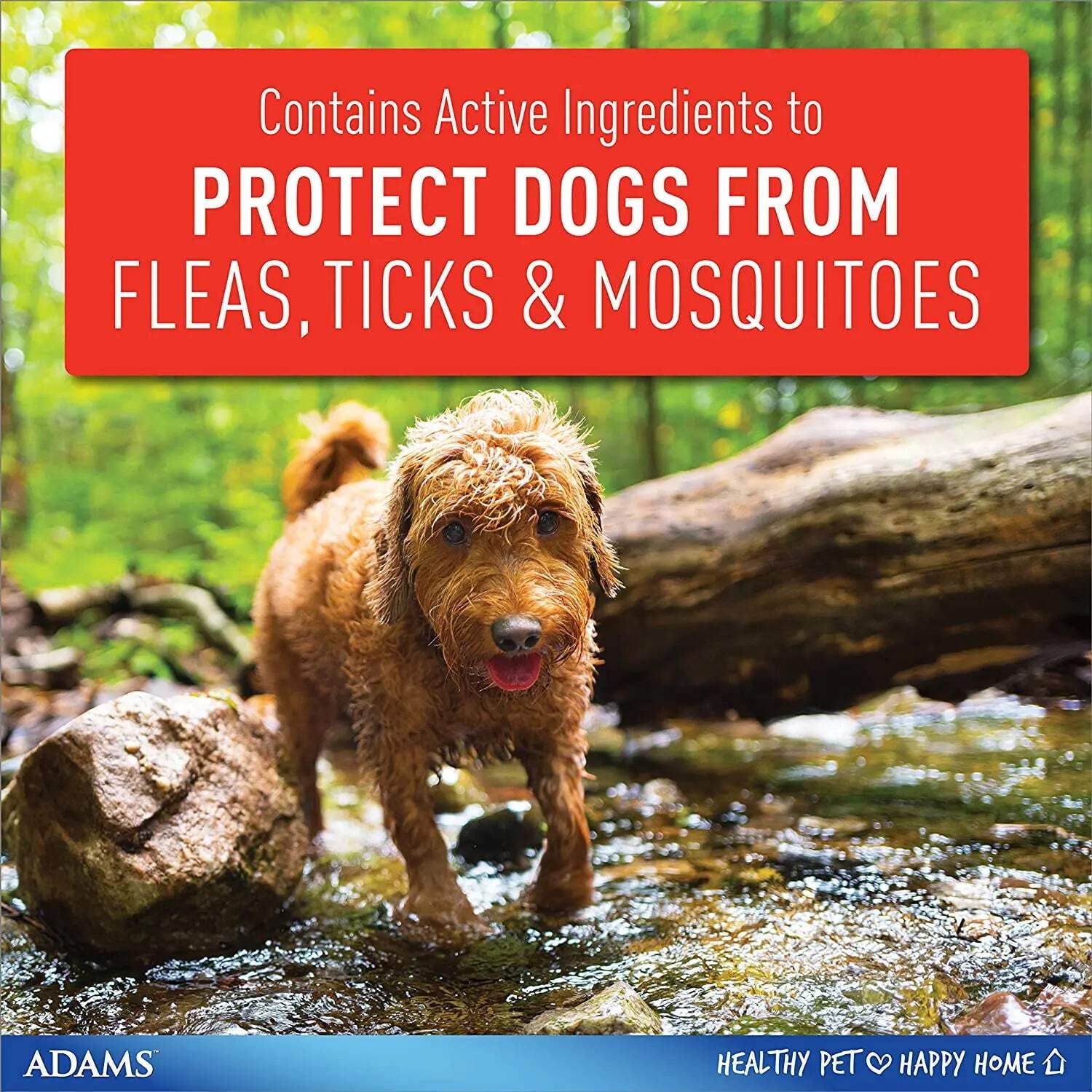 Adams Plus Flea  Tick Collar for Large Dogs  Puppies