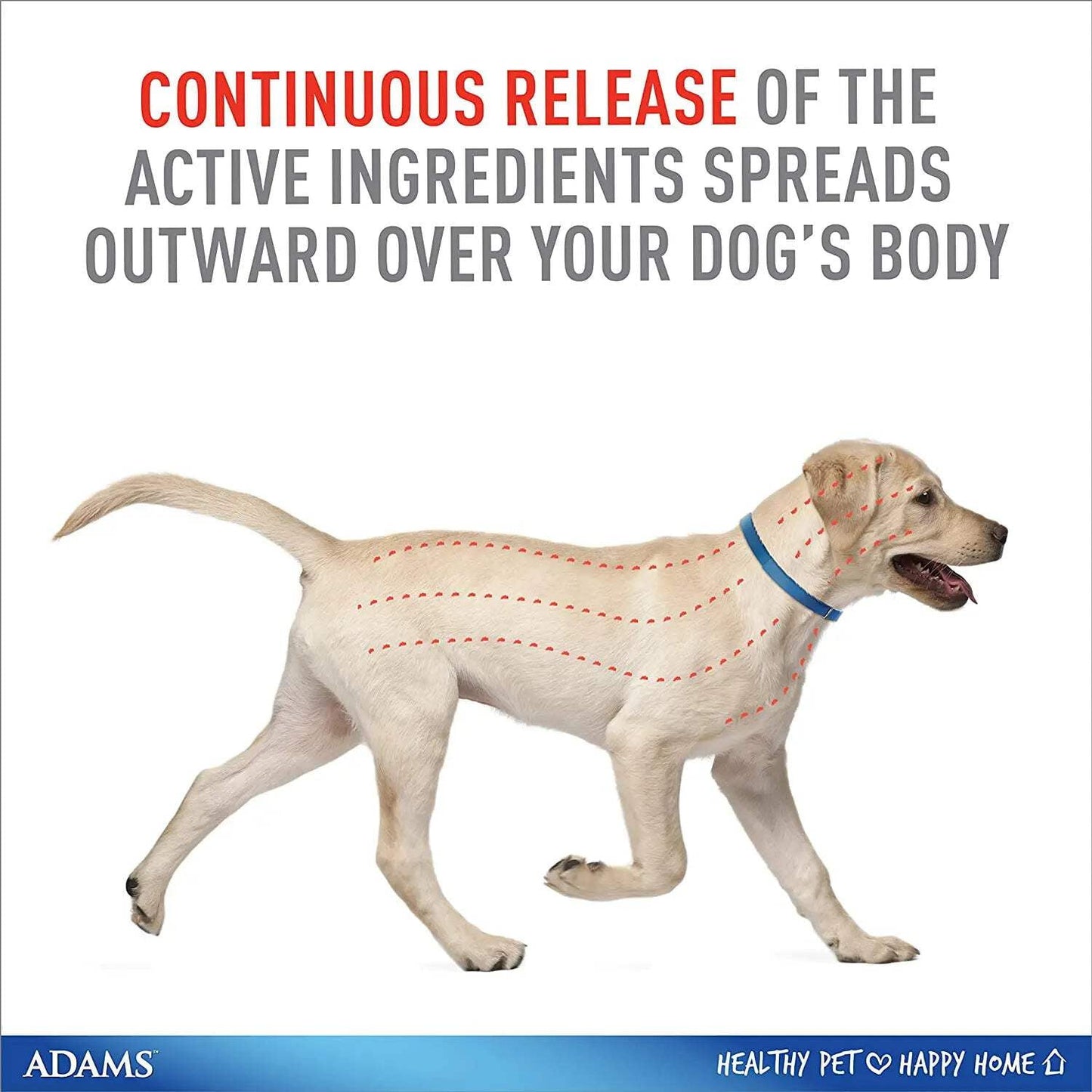 Adams Plus Flea  Tick Collar for Large Dogs  Puppies