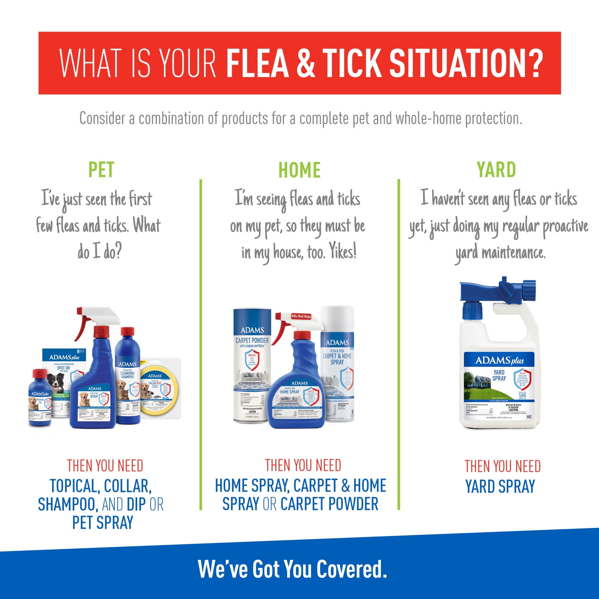 Adams Flea & Tick Cleansing Shampoo for Cats and Dogs, 12 ounces