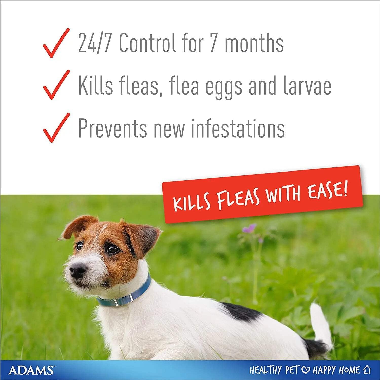 Adams Plus Flea  Tick Collar for Large Dogs  Puppies