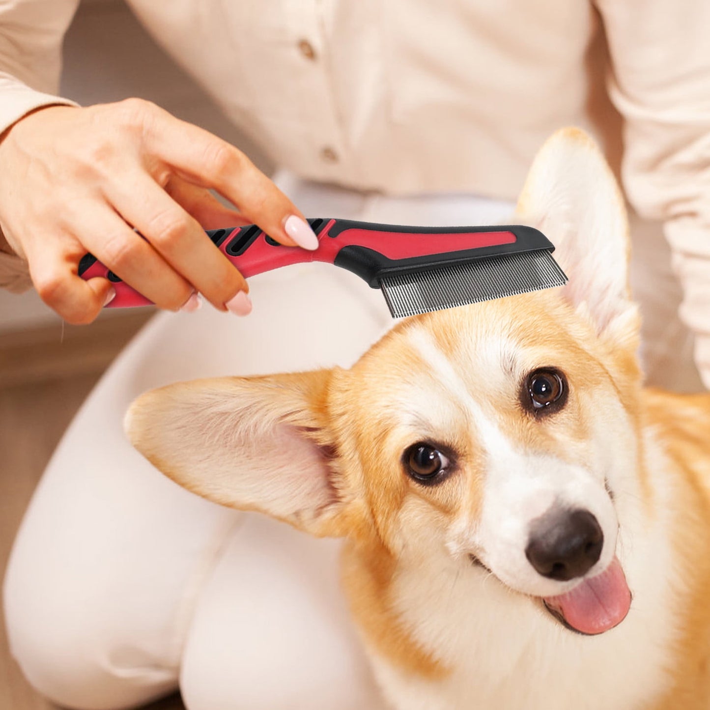 2 Pcs Double Row Flea Comb for Dogs & Cats - Long Handle Pet Grooming Tool for Ticks, Lice & Flea Removal - Gentle Detangling & Hair Care - Lightweight Durable Comb for Small Animals & Pets