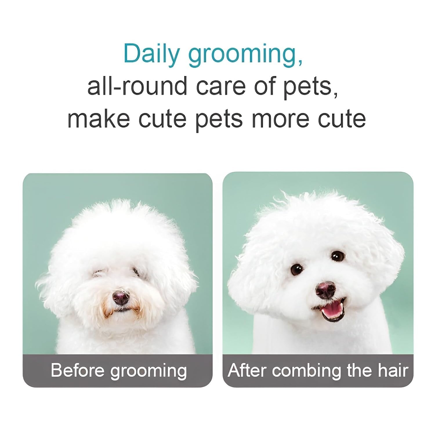Flea Comb for Dogs and Cats, Pet Lice Comb Fine Tooth Grooming Tool for Removing Tear Stains, Fleas, Dandruff, Lice