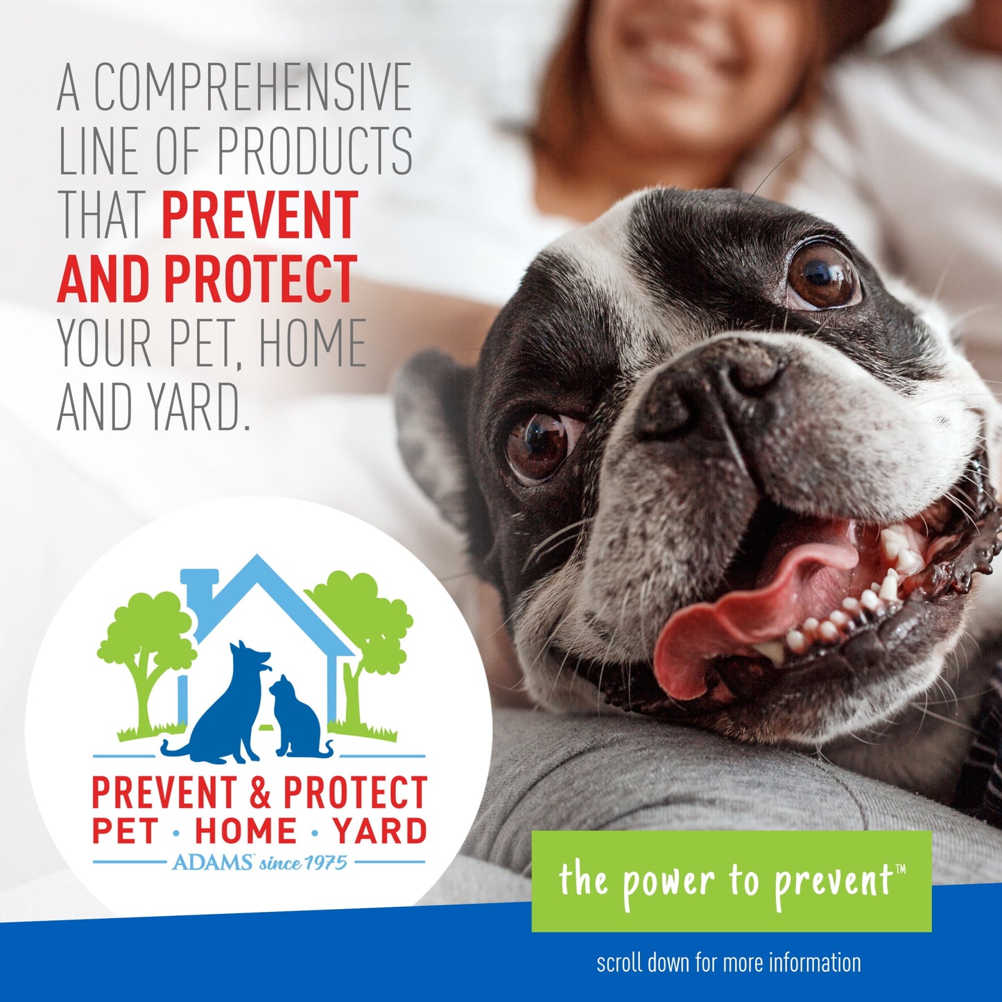 Adams Plus Flea & Tick Shampoo with Precor for Dogs & Puppies over 12 Weeks of Age, 24 oz