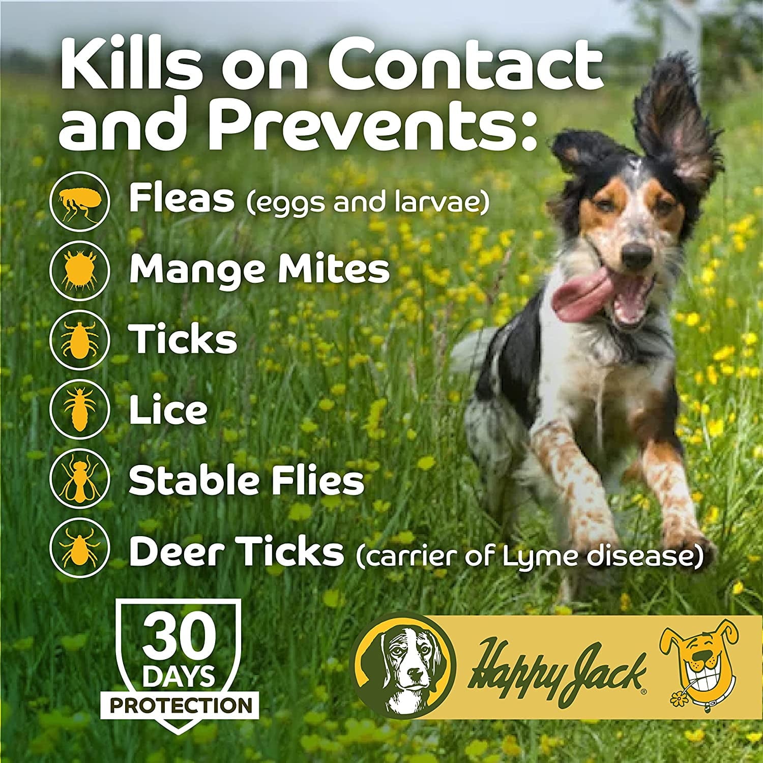 Happy Jack Kennel Dip II Flea, Tick & Mange Treatment for Dogs, 16 oz
