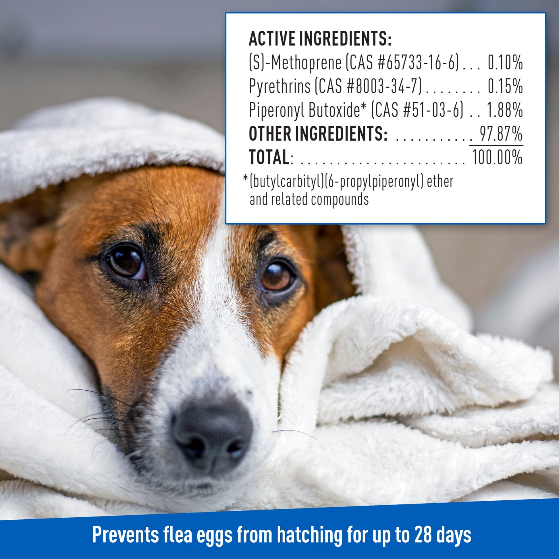 Adams Plus Flea & Tick Shampoo with Precor for Dogs & Puppies over 12 Weeks of Age, 24 oz