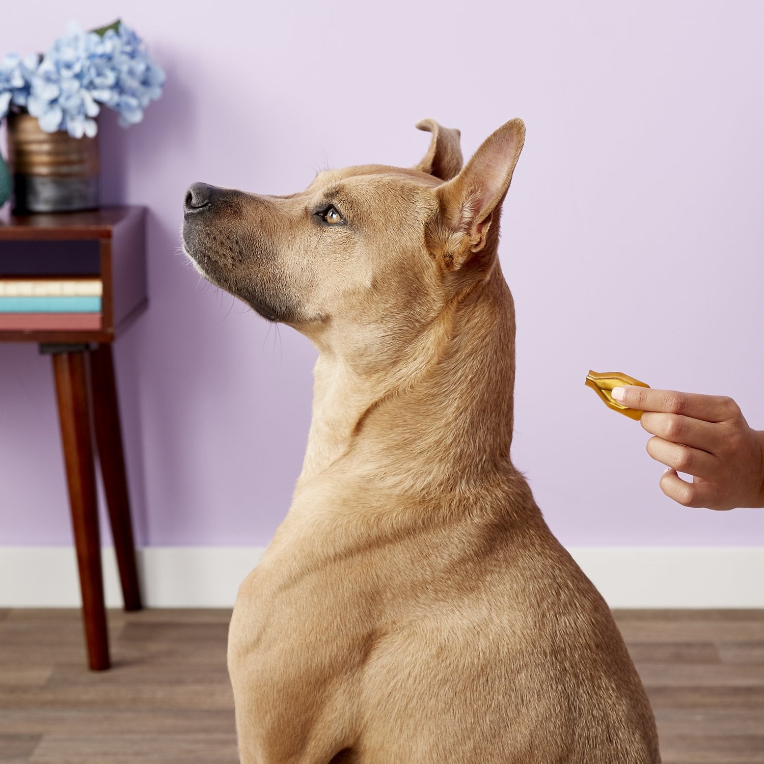 Dermoscent Essential 6 Spot-On for Dogs [1-22 lbs] (4 count)