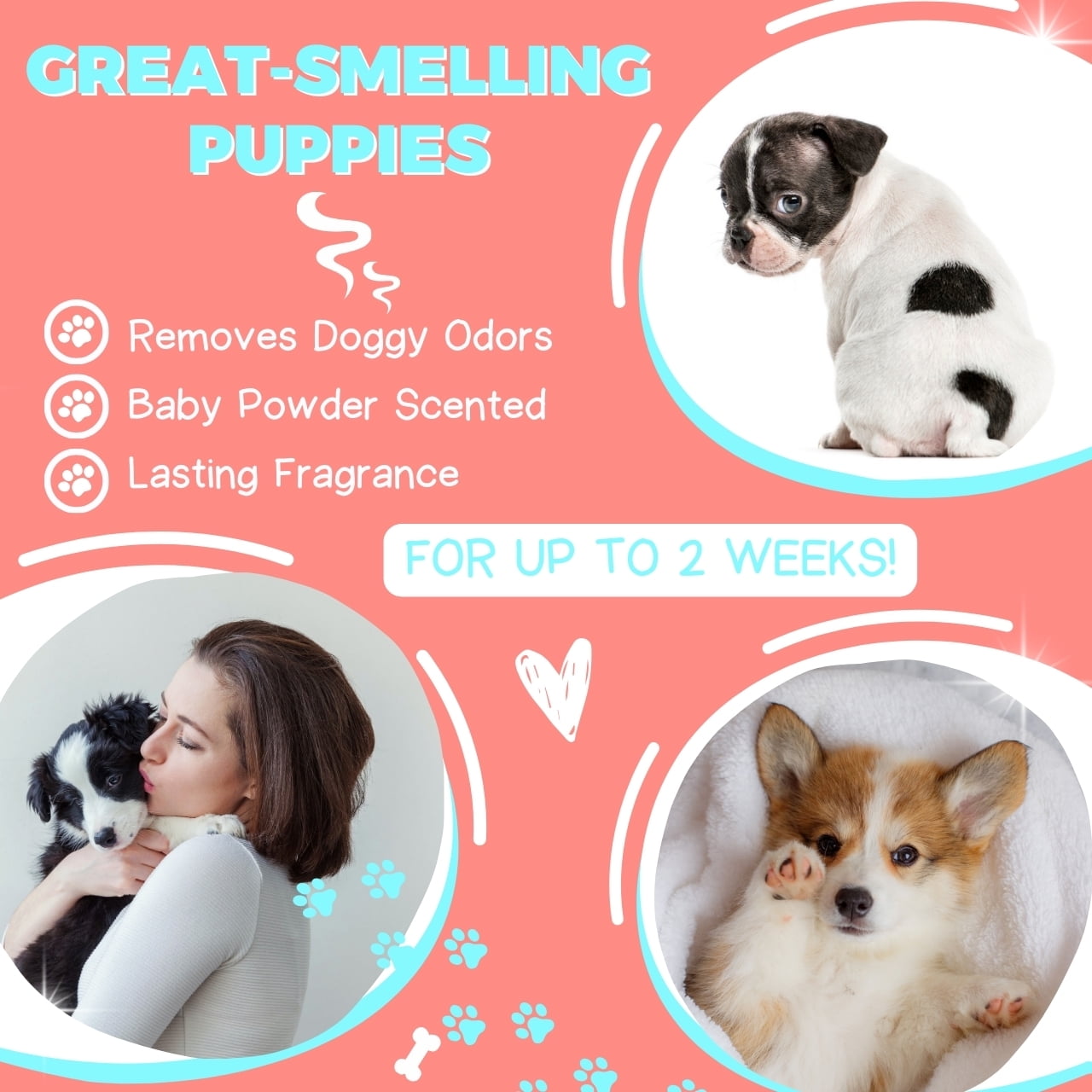 All Natural, Hypoallergenic | Gentle Puppy Shampoo + Conditioner with Aloe Vera | Antibacterial | pH Balanced | Tear Free | Detangler & Moisturizer | Odor Eliminator | Grooming Quality - Pack of 2