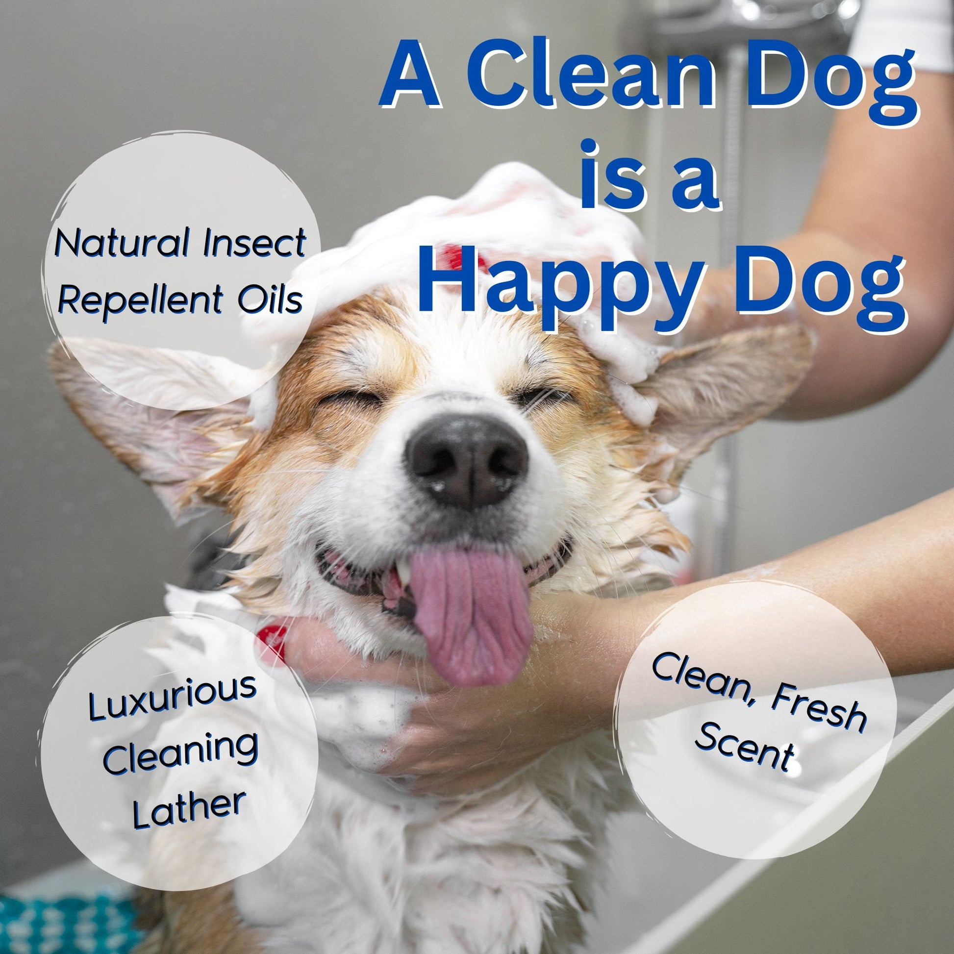 Zone Protects Pets Natural Flea & Tick Removal Shampoo; Natural Citrus Scent, Removes Pests and Protects