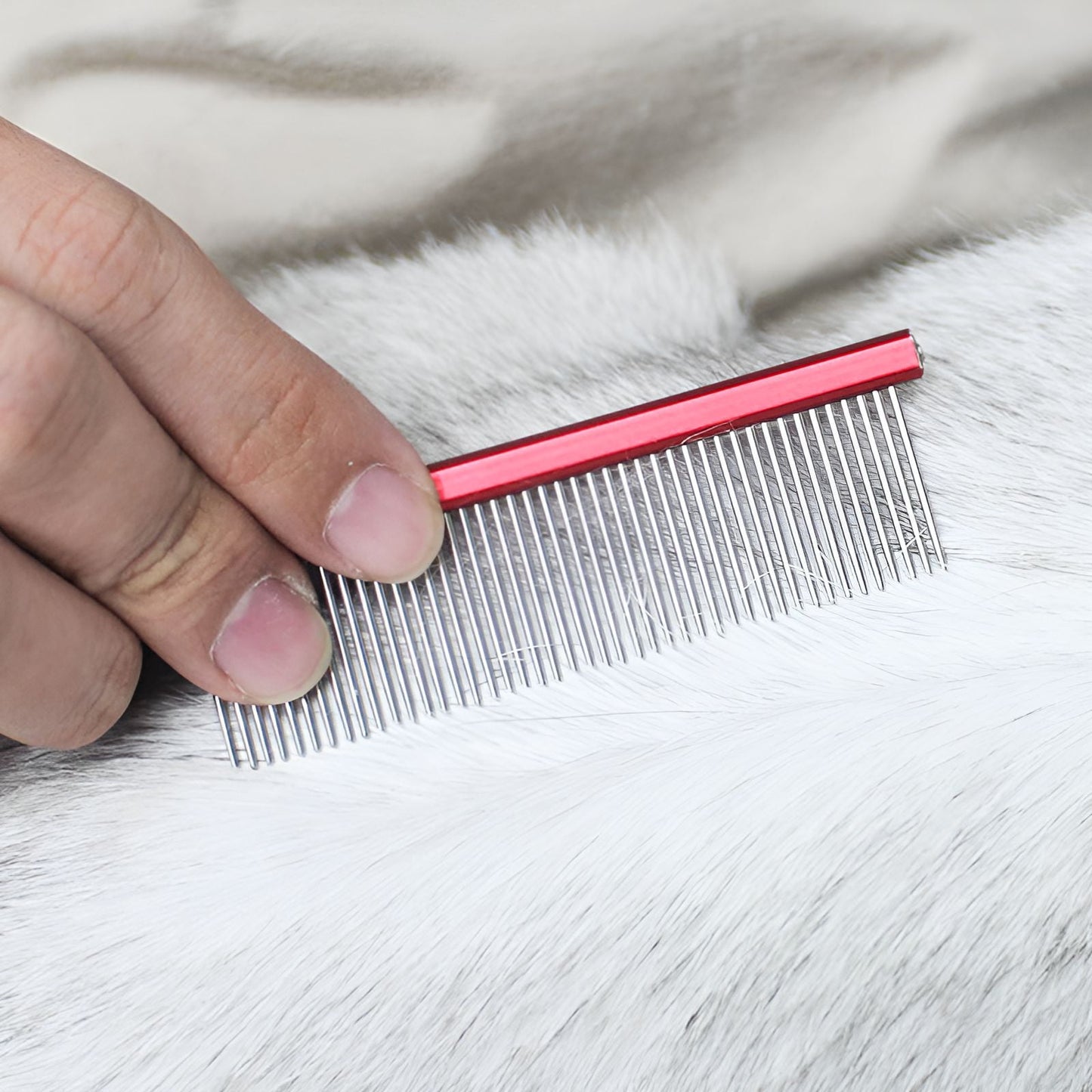 ACDANC 2Pcs Dog Comb,Metal Comb,Grooming Tool for Dogs and Cats Dematting Comb for Dogs