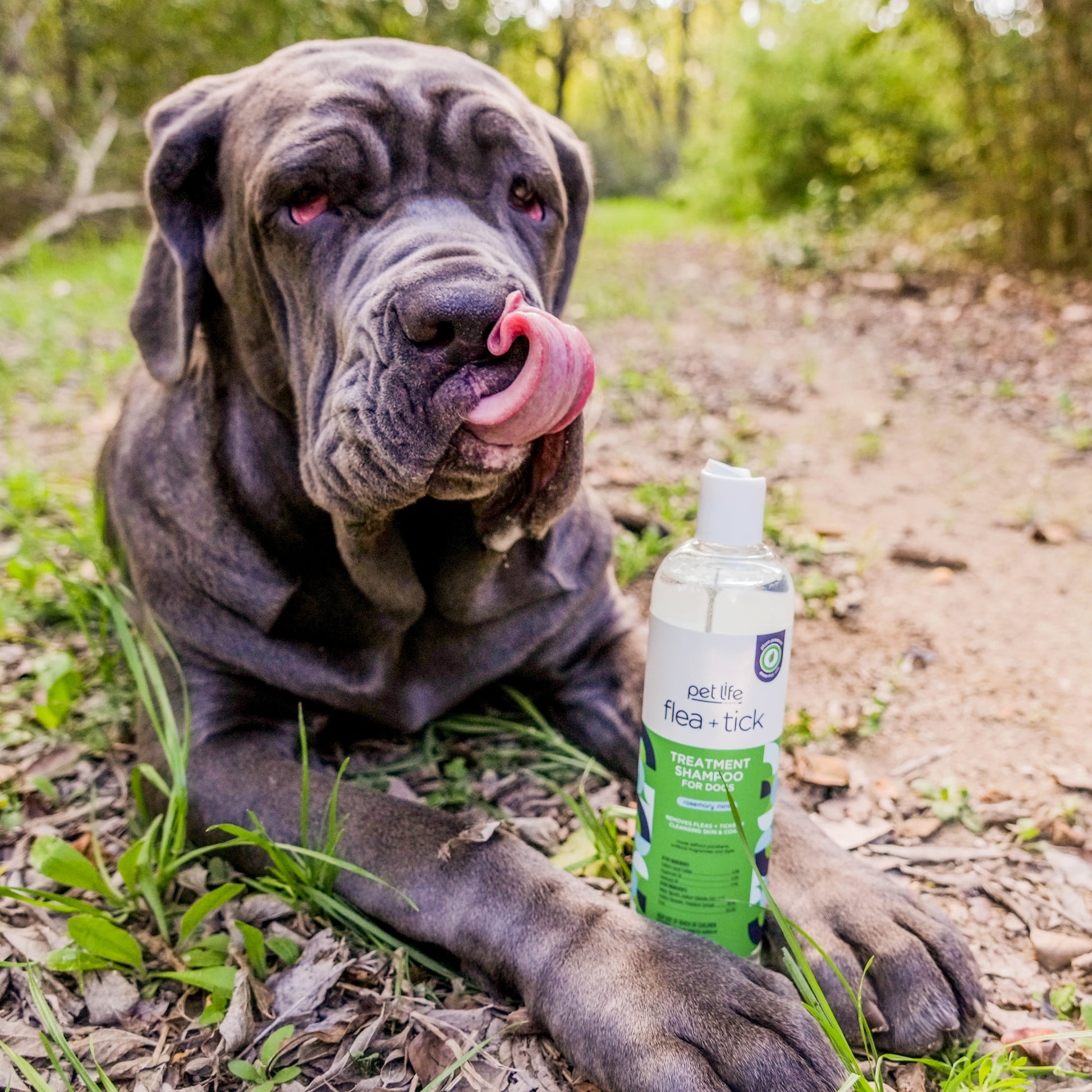 Pet Life Unlimited Flea & Tick Treatment Gel Shampoo for Dogs, 16oz