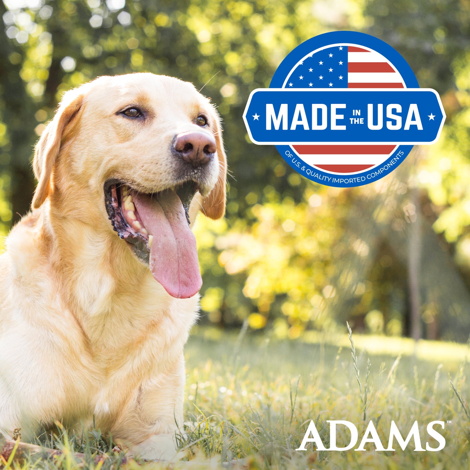 Adams Plus Flea & Tick Shampoo with Precor for Dogs & Puppies over 12 Weeks of Age, 24 oz