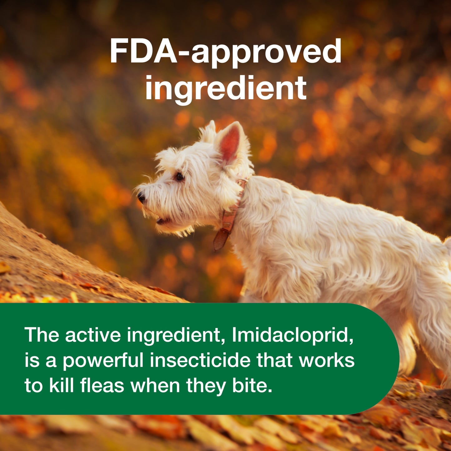 (2 pack) Advantus Chewable Flea Treatment for Dogs 4 - 22 lbs. | 30 Soft Chews