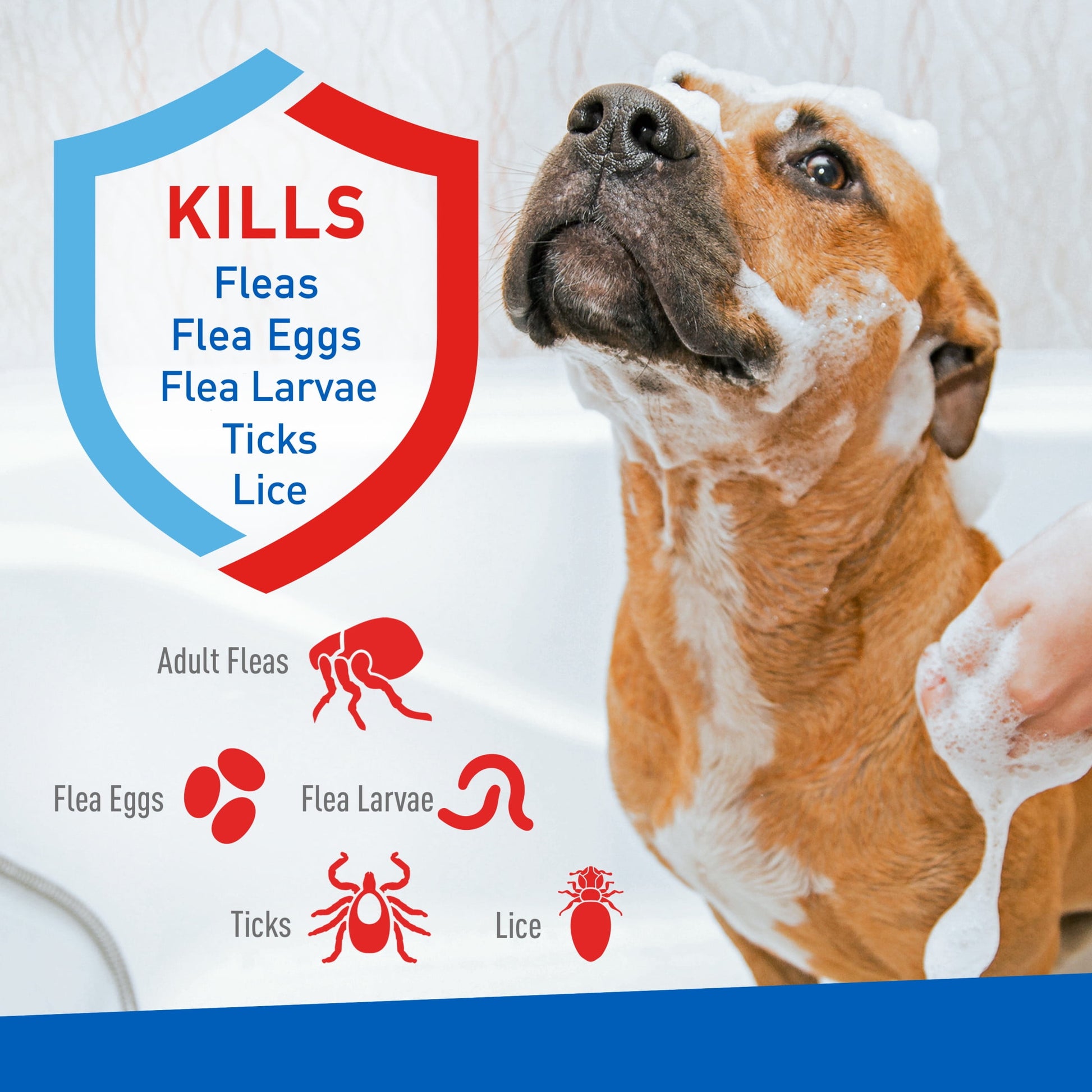 Adams Plus Flea & Tick Shampoo with Precor for Dogs & Puppies over 12 Weeks of Age, 24 oz