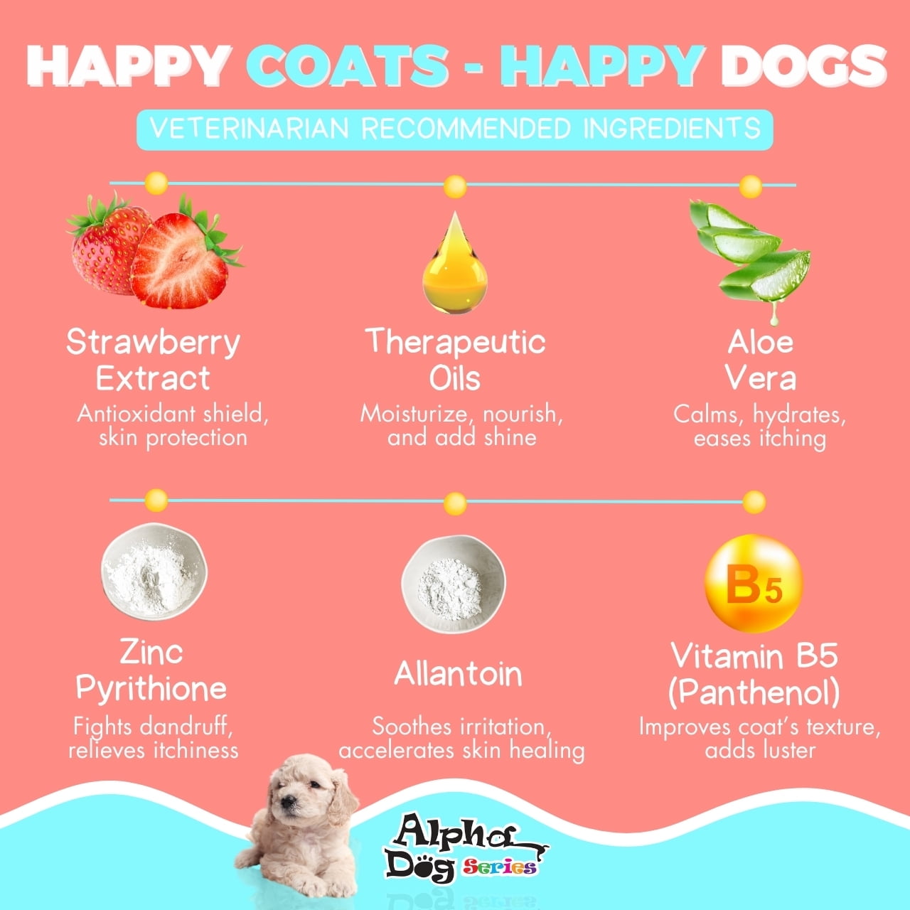 All Natural, Hypoallergenic | Gentle Puppy Shampoo + Conditioner with Aloe Vera | Antibacterial | pH Balanced | Tear Free | Detangler & Moisturizer | Odor Eliminator | Grooming Quality - Pack of 2