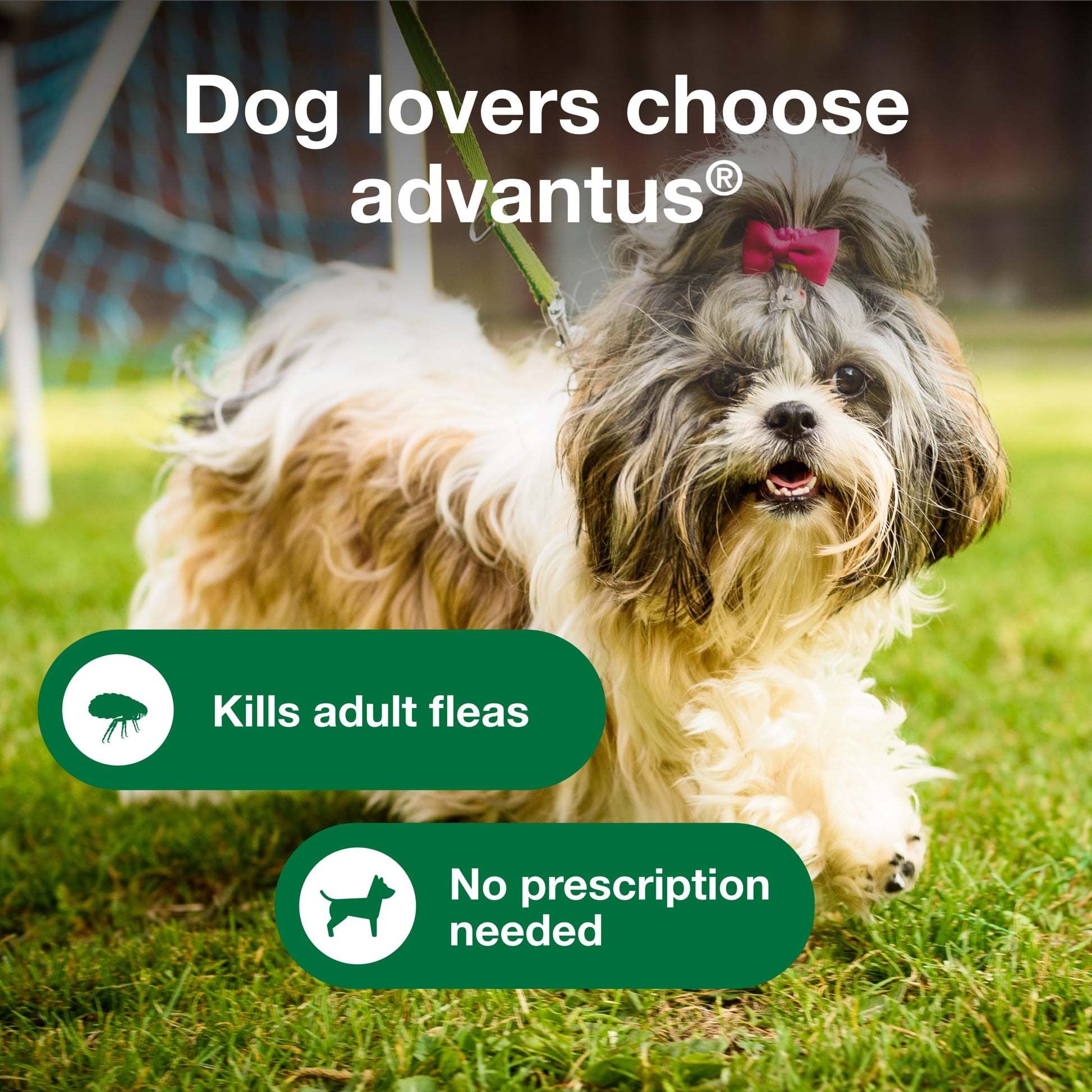 (2 pack) Advantus Chewable Flea Treatment for Dogs 4 - 22 lbs. | 30 Soft Chews